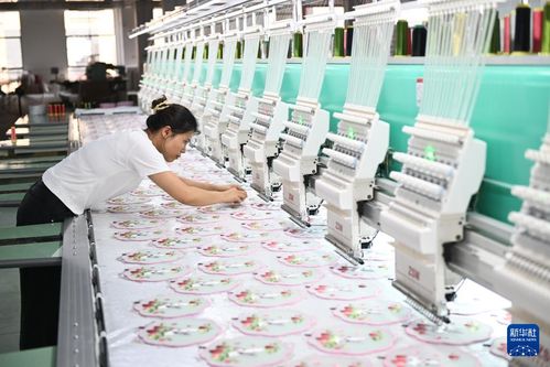 宿迁村播经济新图景 从流量到销量的跃迁之路